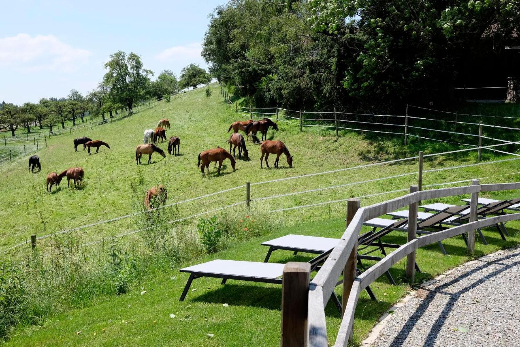 Trautesheim Ferienwohnungen Wangen im Allgäu Dış mekan fotoğraf